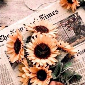 Meet your Posher, Krista